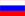 русский русский