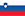 Slovenski Slovenski